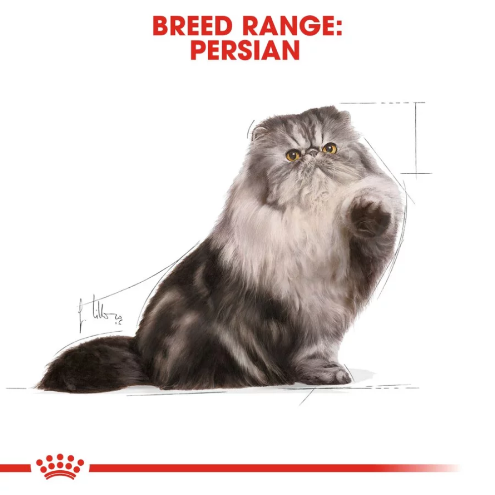 Royal Canin Persian Adult Loaf Cat Wet Food