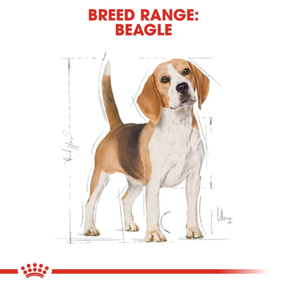 Royal Canin Beagle Adult Dog Dry Food