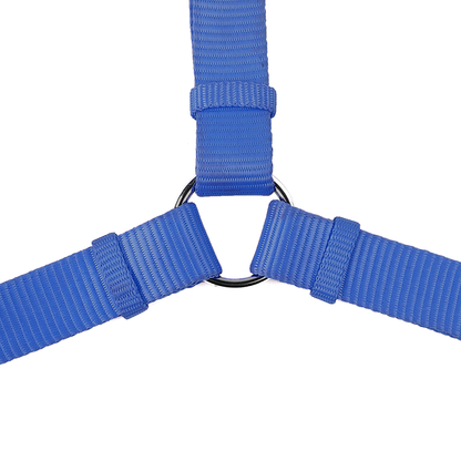 Trixie Premium H Harness for Dogs Royal Blue