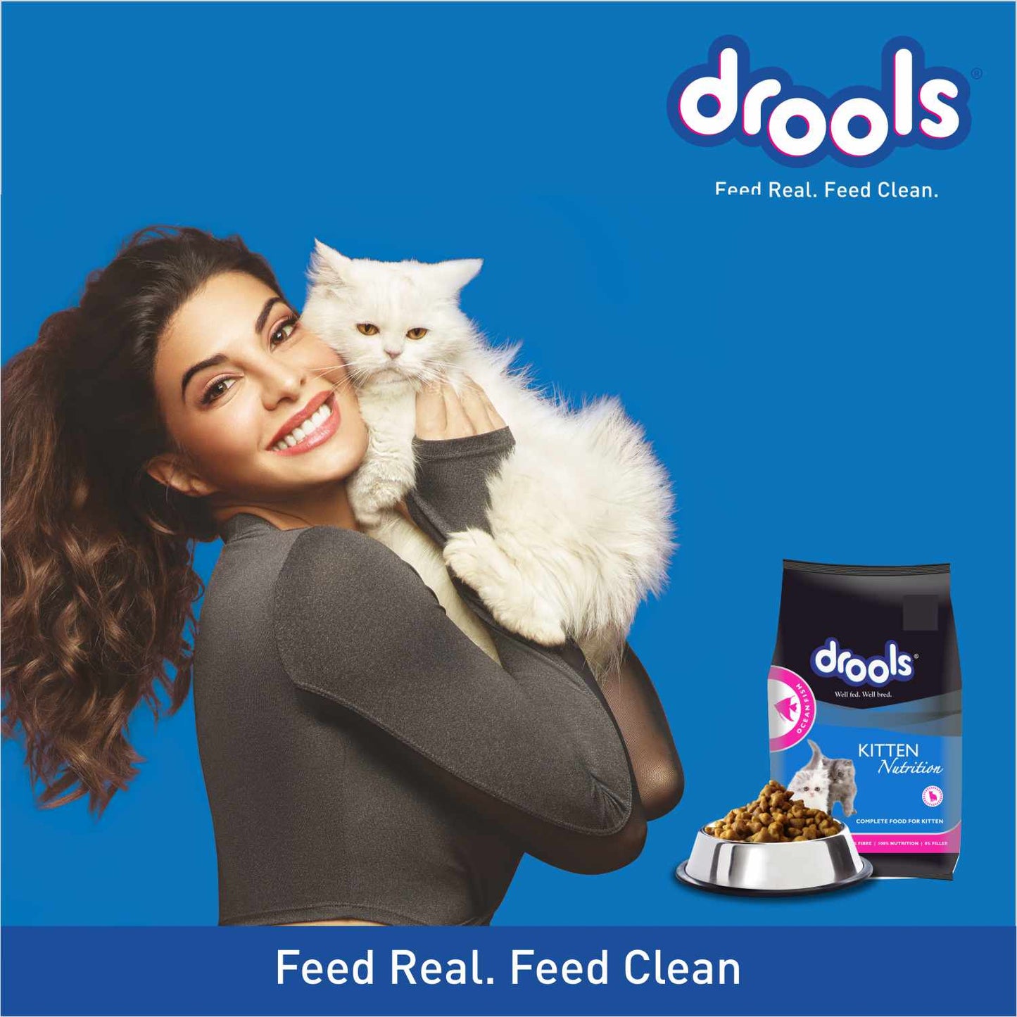 Drools Ocean Fish Kitten Cat Dry Food