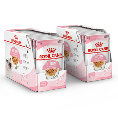 Royal Canin Kitten Jelly Cat Wet Food