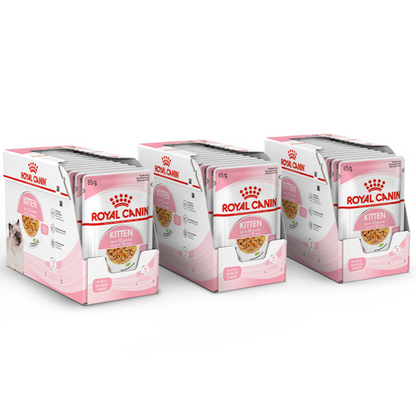 Royal Canin Kitten Jelly Cat Wet Food