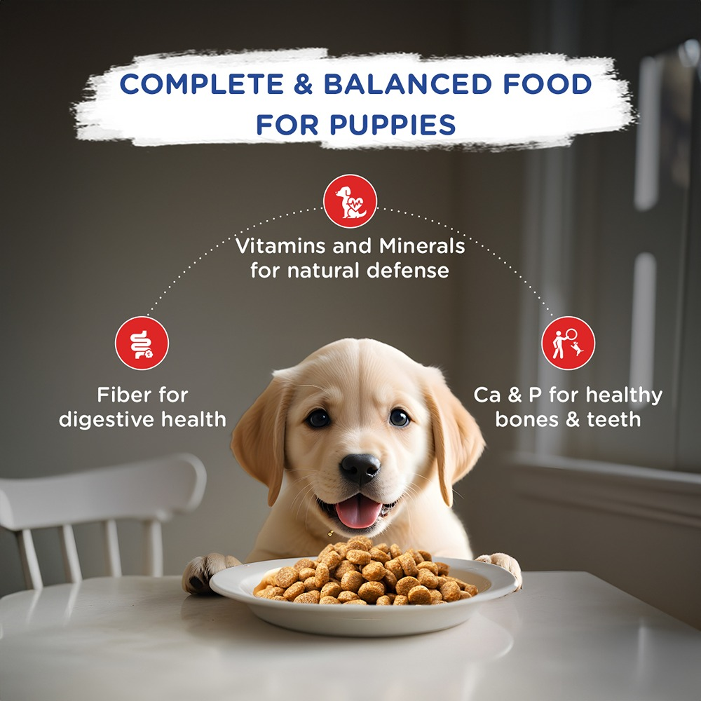 Chappi Chicken  Milk Dry Puppy Food