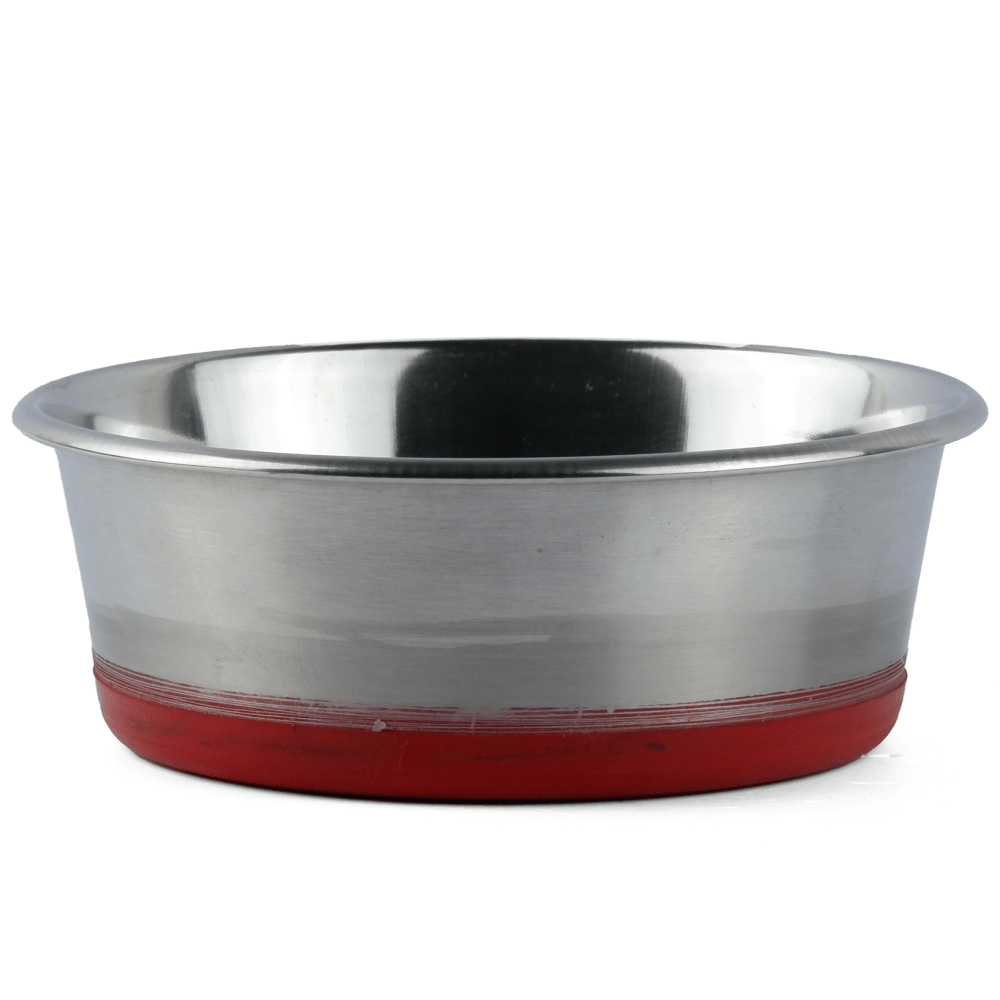 Basil Heavy Dish with Silicon Bowl for Dogs Maroon