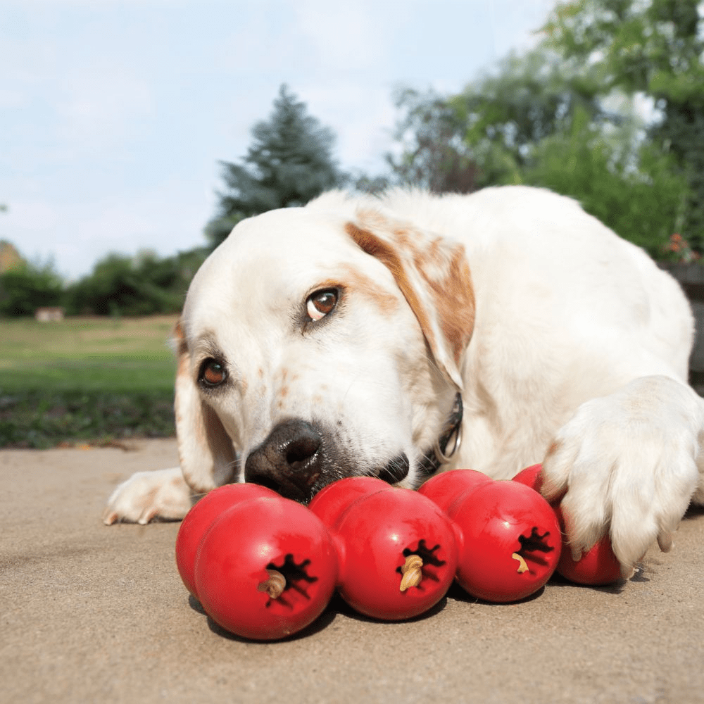 Kong Goodie Ribbon Toy for Dogs