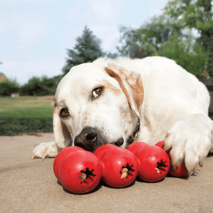 Kong Goodie Ribbon Toy for Dogs