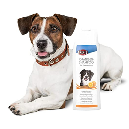 Trixie Orange Shampoo for Dogs