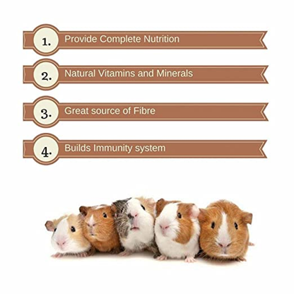 Vitapol Economic Food For Hamsters