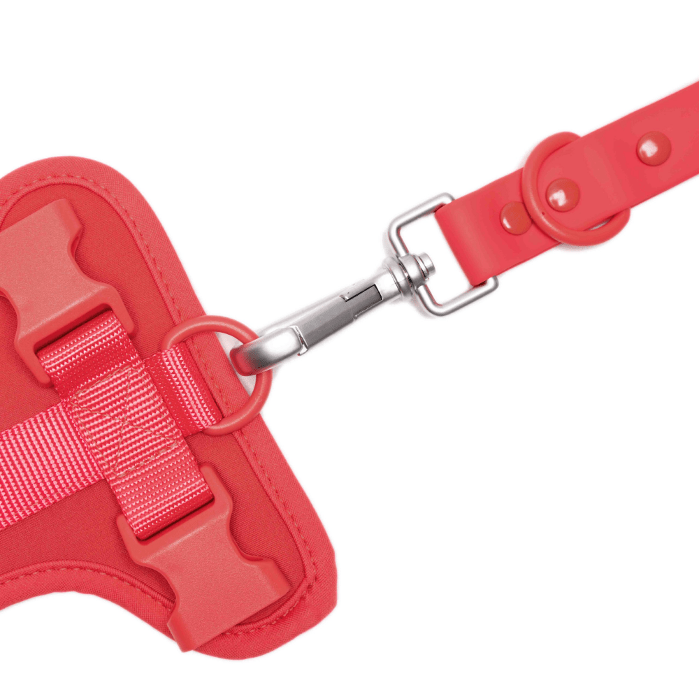 Furry  Co Weatherproof Leash for Dogs Coral Red