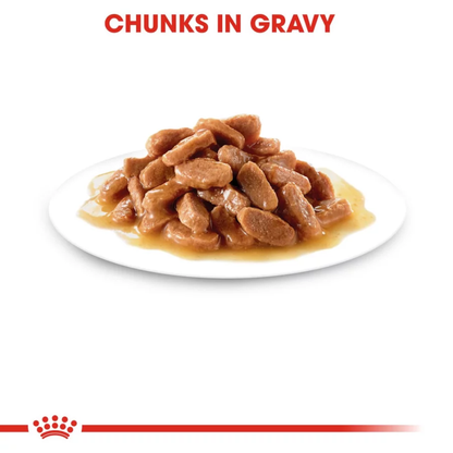 Royal Canin Kitten Gravy Wet Food