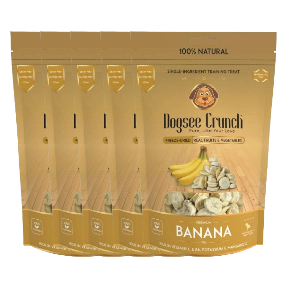 Dogsee Crunch Freeze Dried Banana Dog Treats