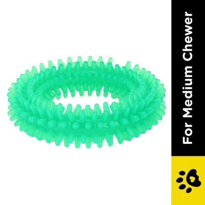 Basil Teething Ring Chew Toy for Dogs  For Medium Chewers Green