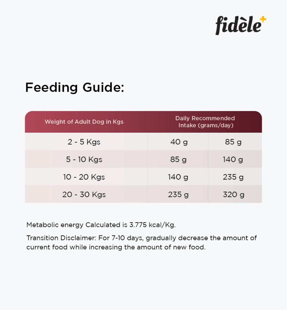 Fidele Plus Adult Light  Senior Dog Dry Food