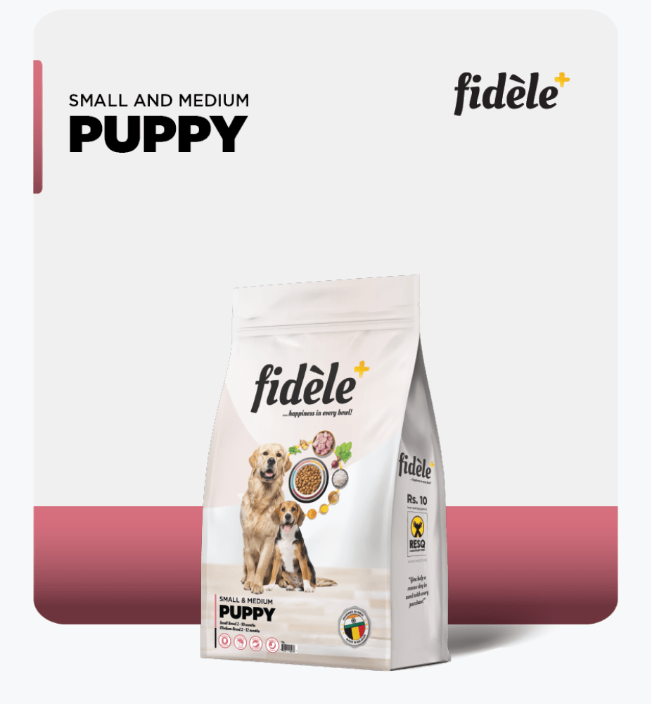 Fidele Plus Small and Medium Puppy Dry Food