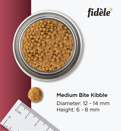 Fidele Plus Adult Light  Senior Dog Dry Food