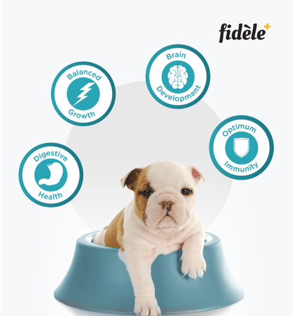 Fidele Plus Starter Puppy Dry Food