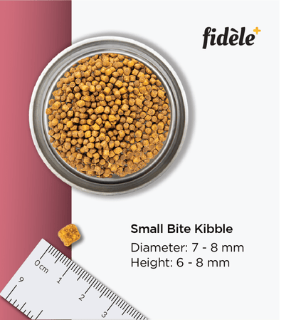 Fidele Plus Small and Medium Puppy Dry Food