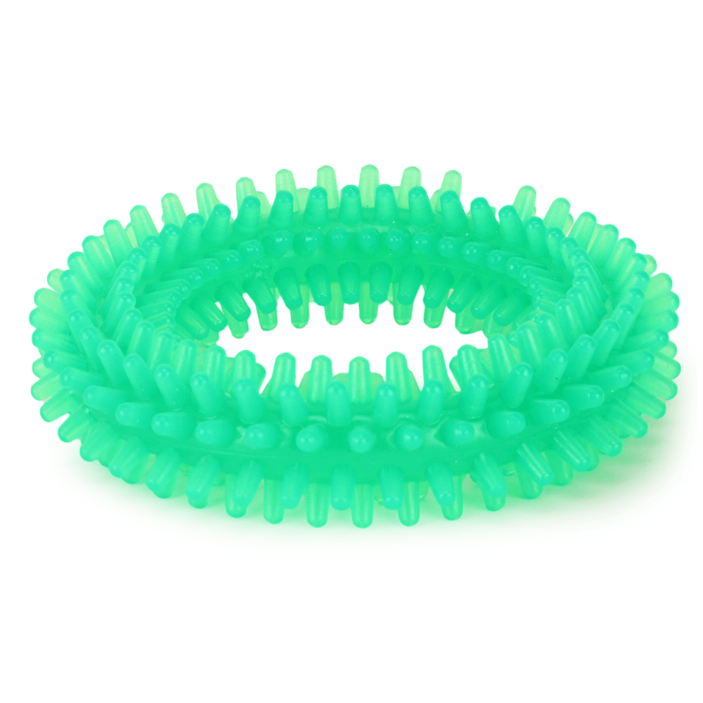 Basil Teething Ring Chew Toy for Dogs  For Medium Chewers Green