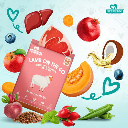 Fresh For Paws Lamb On The Go Dog Wet Food 100g