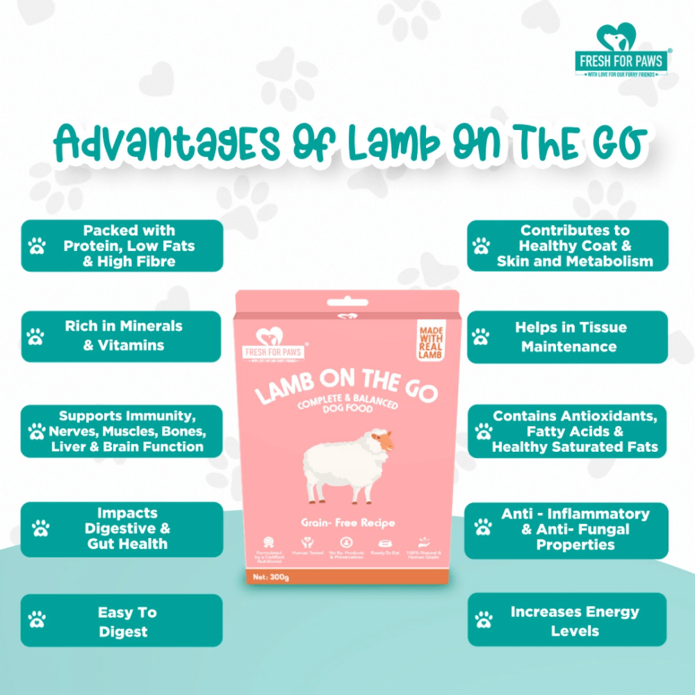 Fresh For Paws Lamb On The Go Dog Wet Food 100g