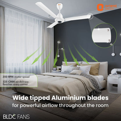 I-Falcon BLDC Ceiling Fan With Light  Remote