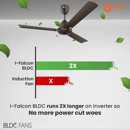 I-Falcon BLDC Ceiling Fan With Light  Remote