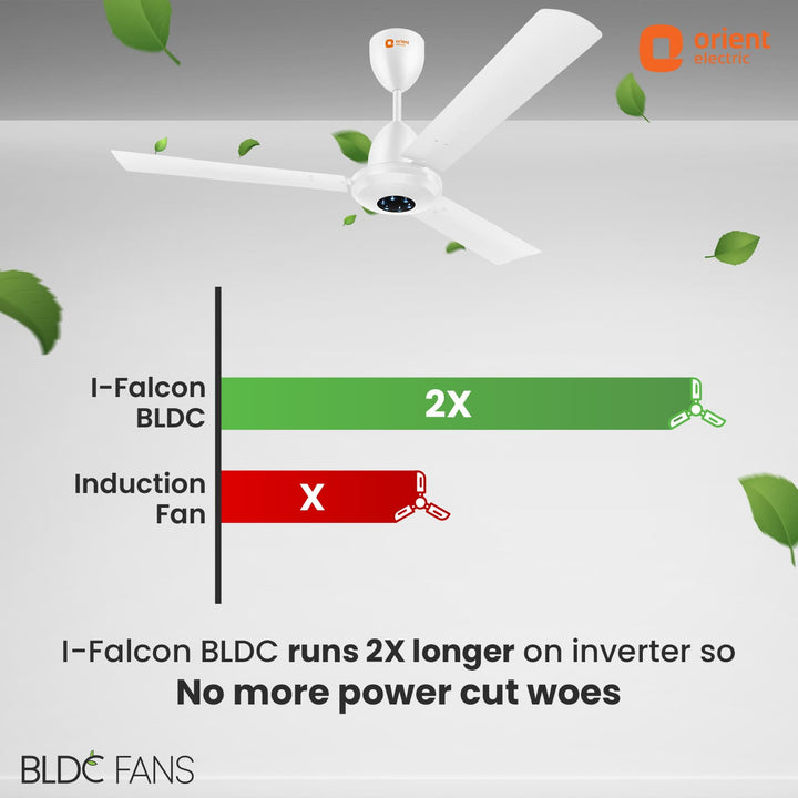 I-Falcon BLDC Ceiling Fan With Light  Remote