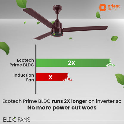 1200mm Ecotech Prime BLDC 5 Star Rated Ceiling Fan With Remote