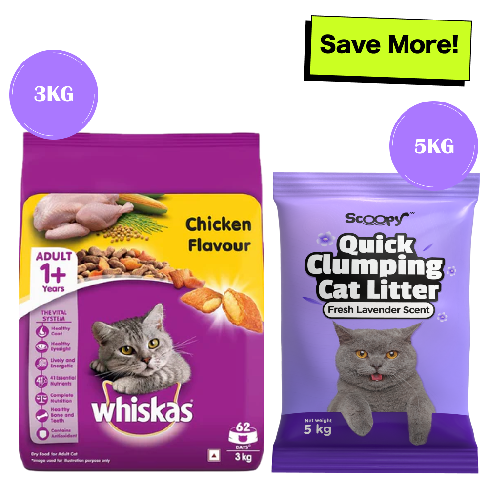 Whiskas Chicken Flavour Cat Adult 1 Dry Food