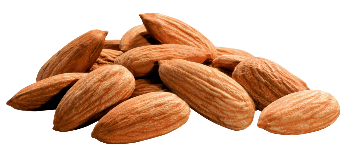 Premium Quality Californian Almonds