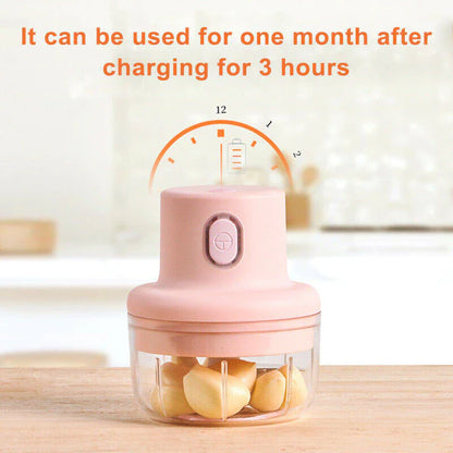 Electric Mini Vegetable Chopper