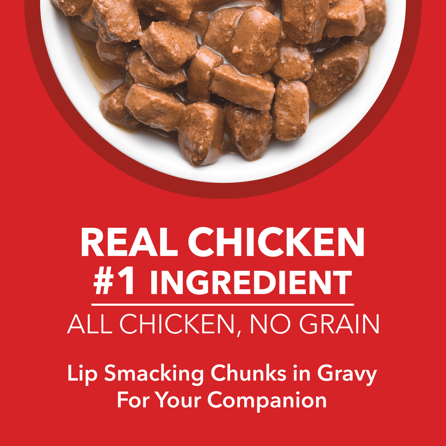 Drools Real Chicken  Chicken Liver Chunks in Gravy Puppy Wet Food